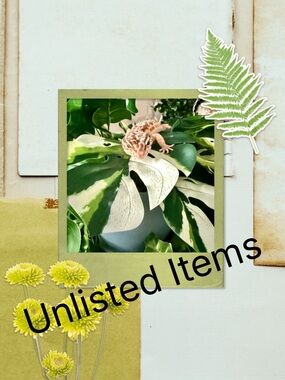 UNLISTED ITEMS!